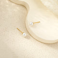 Rosée Studs
